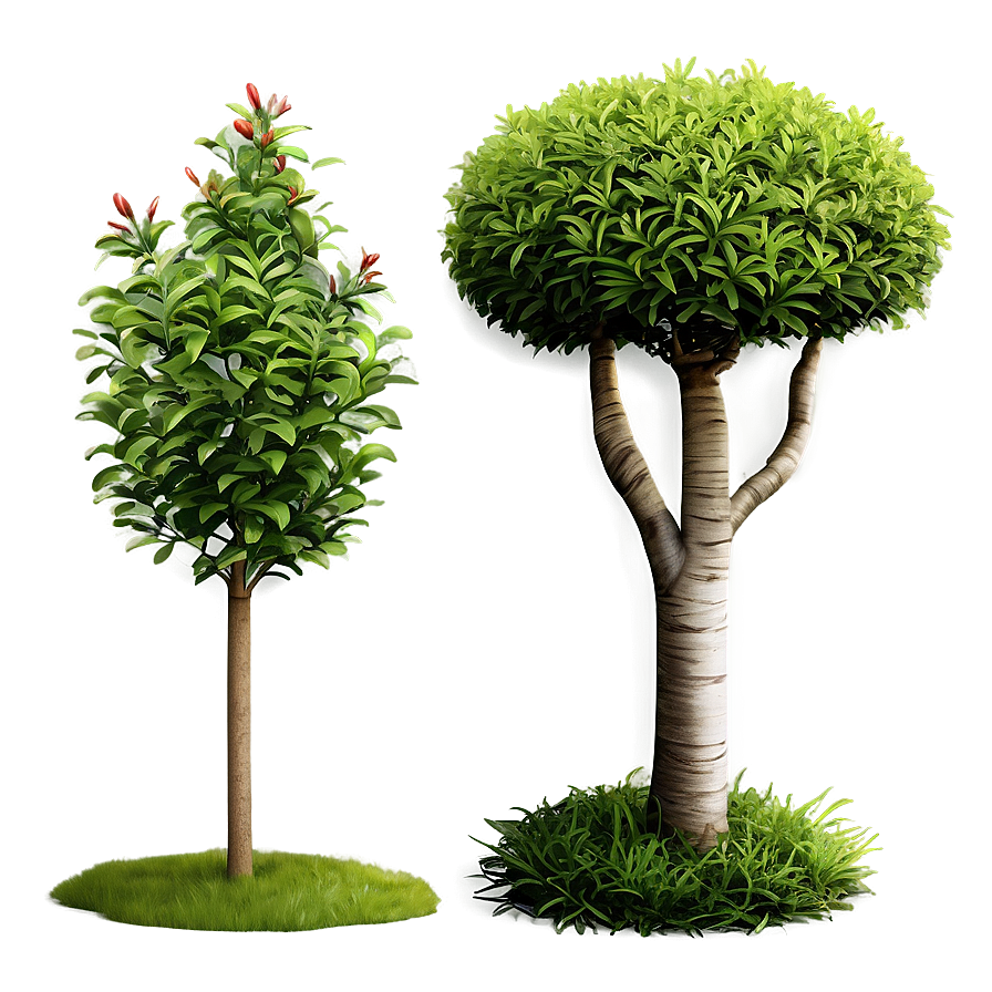 Hedge Shrubs Png Byx