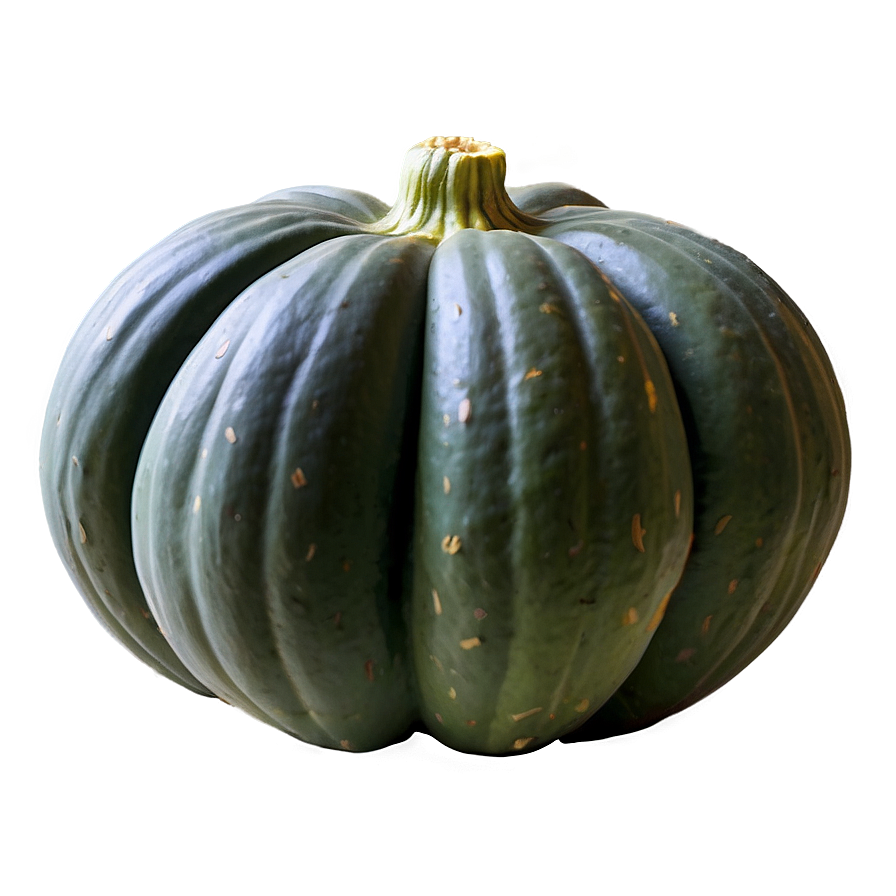Heirloom Squash PNG ihk85 PNG with transparent background