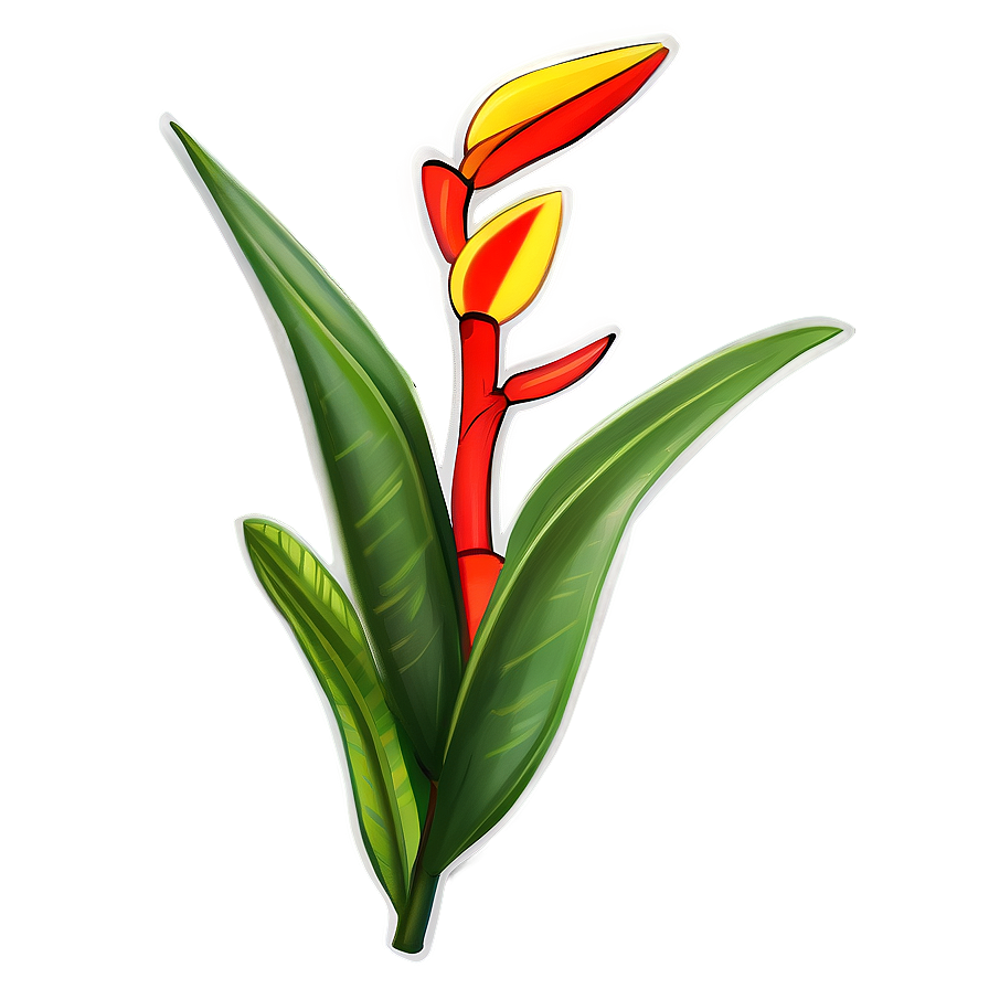 Heliconia Flower Drawing Png Wwp