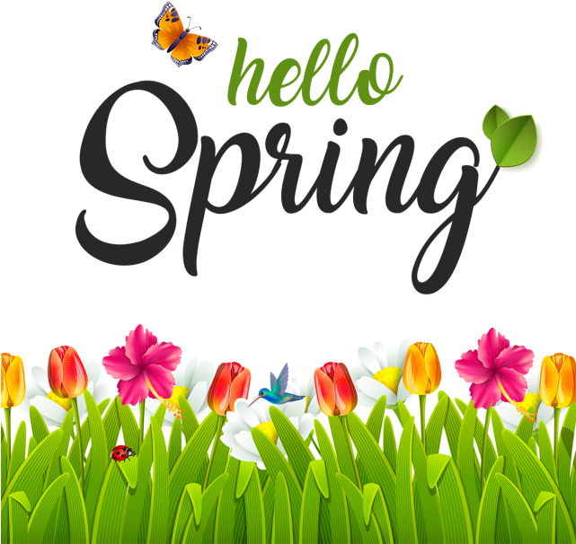 Hello Spring Greeting Card Design