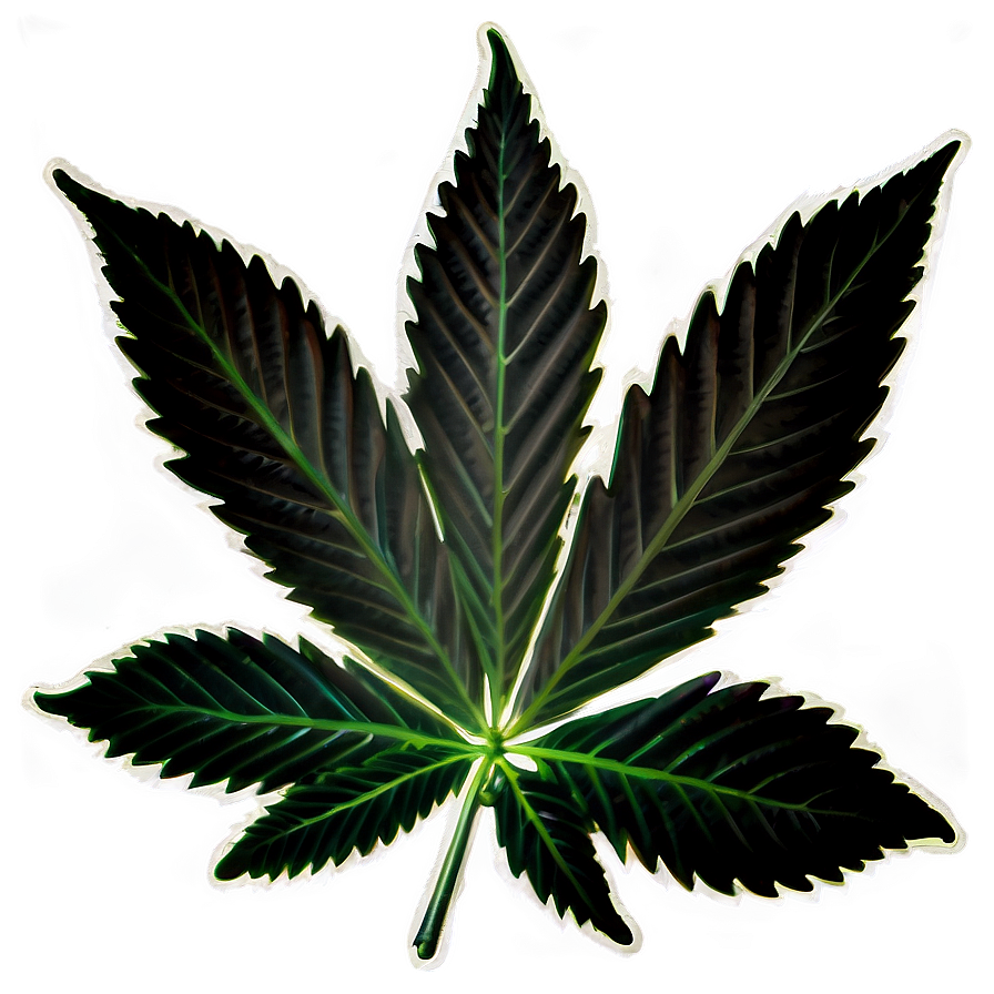 Hemp Leaf Closeup PNG iuw3 PNG with transparent background