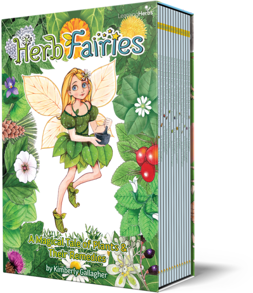 Herb Fairies Book Cover