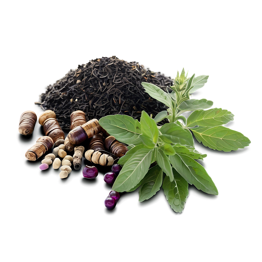 Herb for Health PNG mpq64 PNG with transparent background