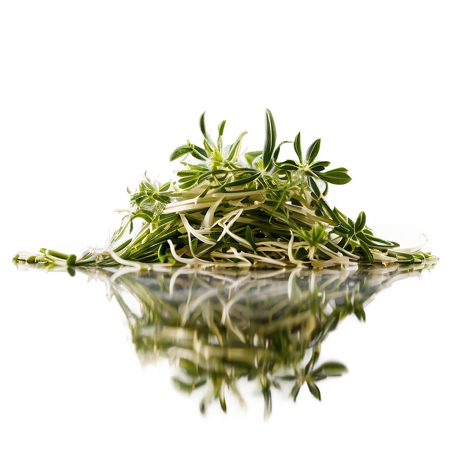 Herb Infusion Png Roo92