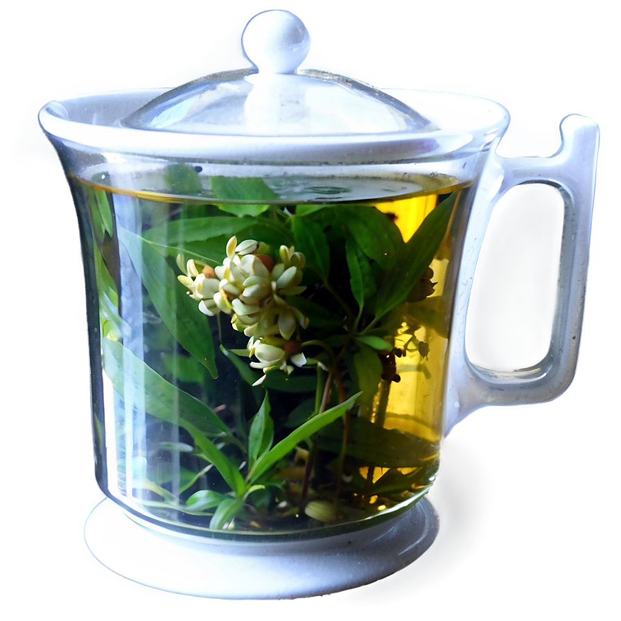 Herbal Tea Cup PNG 14 PNG with transparent background