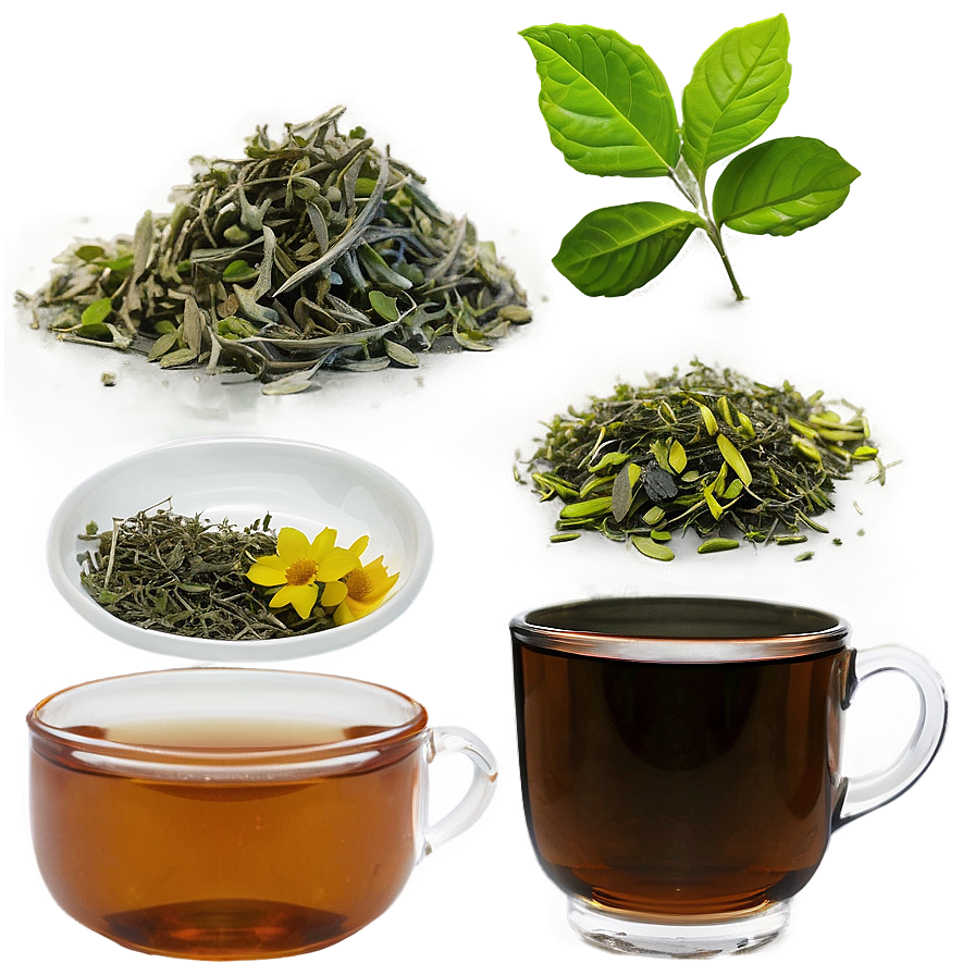 Herbal Tea Ingredients Png Paq84