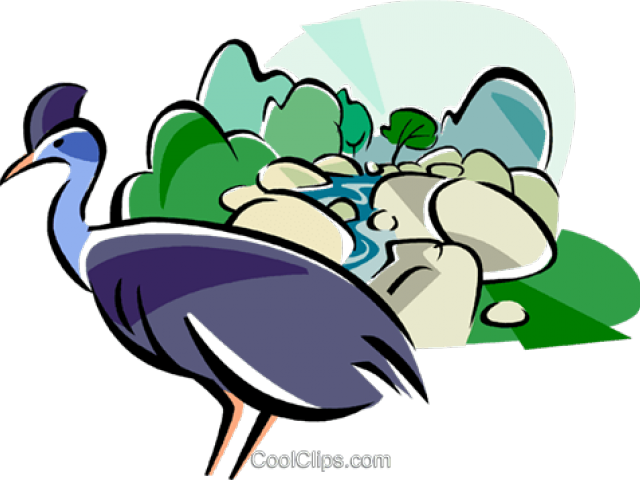 Cameleon Clipart Rainforest Animal - Rainforest Clip Art, HD Png Download PNG with transparent background