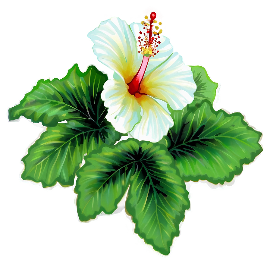 Hibiscus Design Png Qit