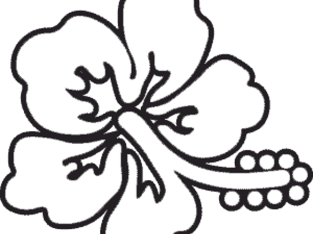 Flower Outline Cliparts - Line Art, HD Png Download PNG with transparent background