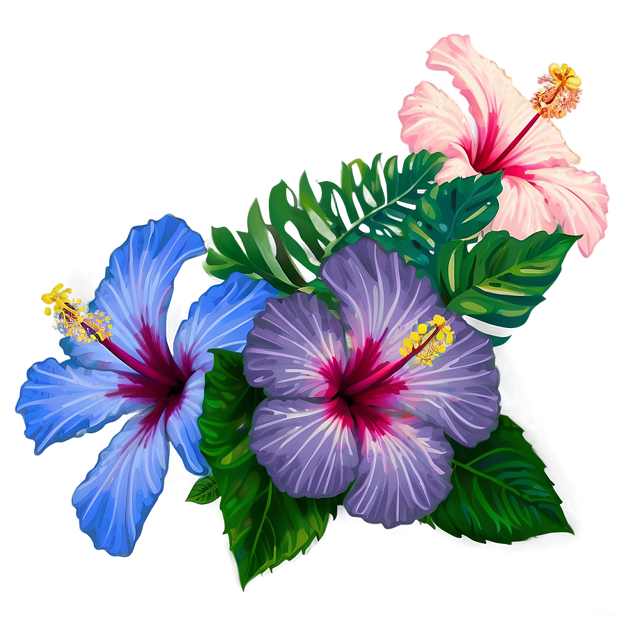 Hibiscus Flower Png Ehs