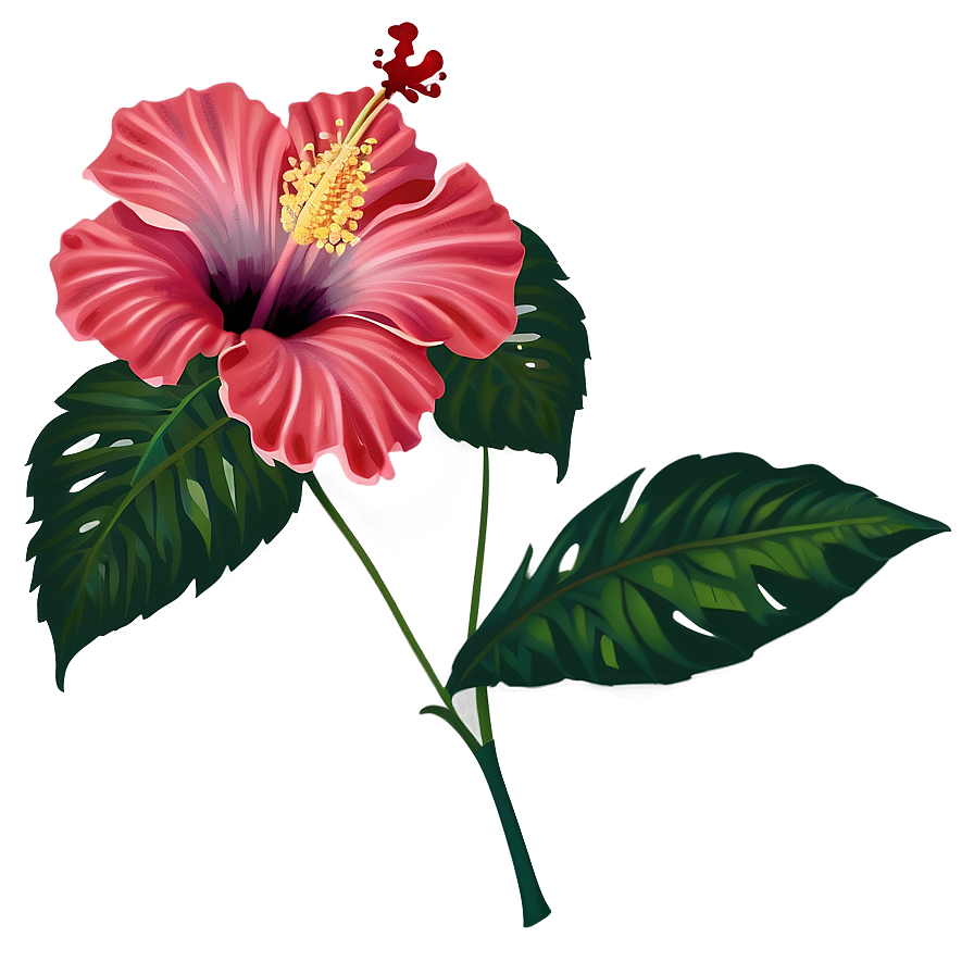 Hibiscus Flower Transparent Png Hje