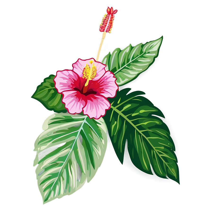 Hibiscus Outline Png Wkw