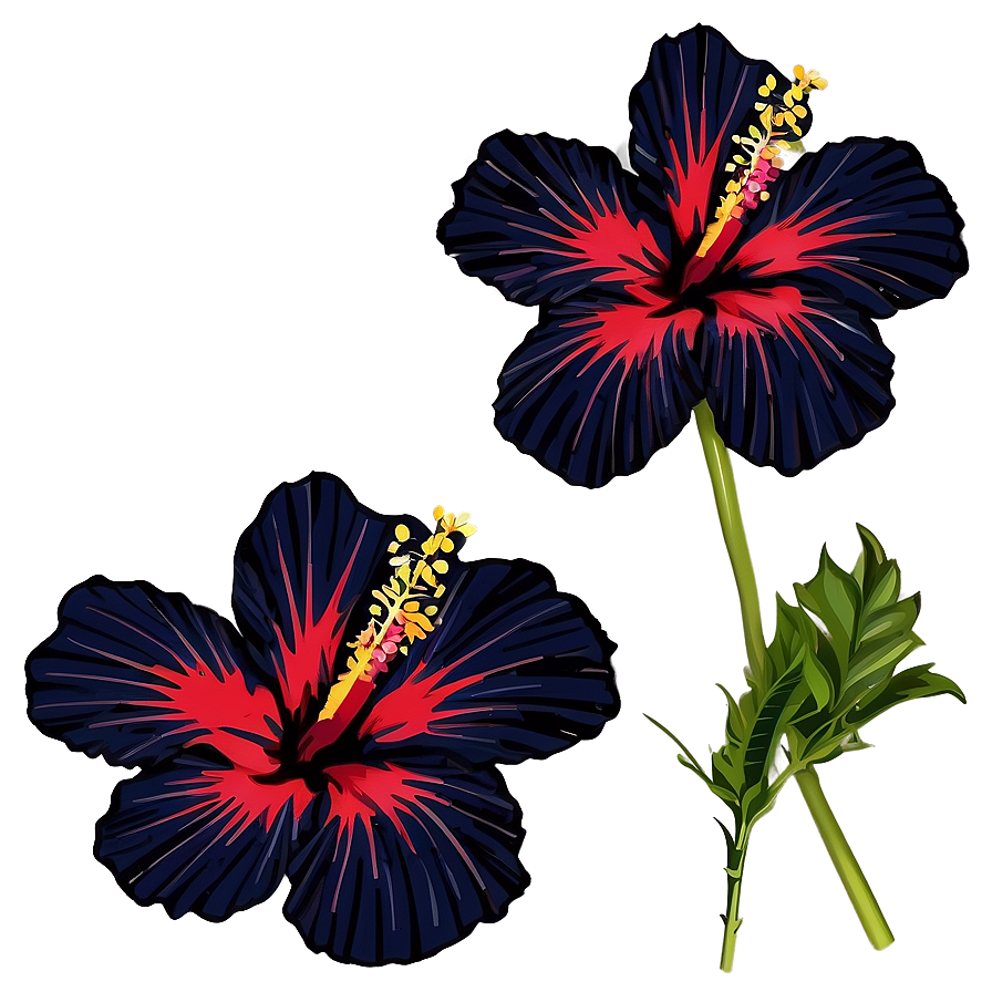 Hibiscus Silhouette Png Akd69