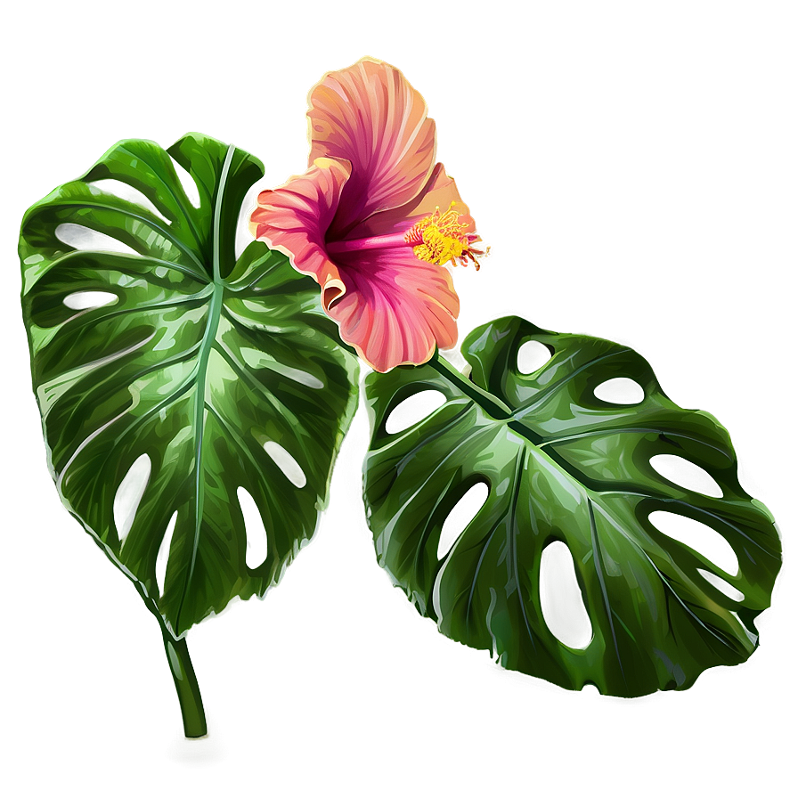 Hibiscus Sketch Png 74