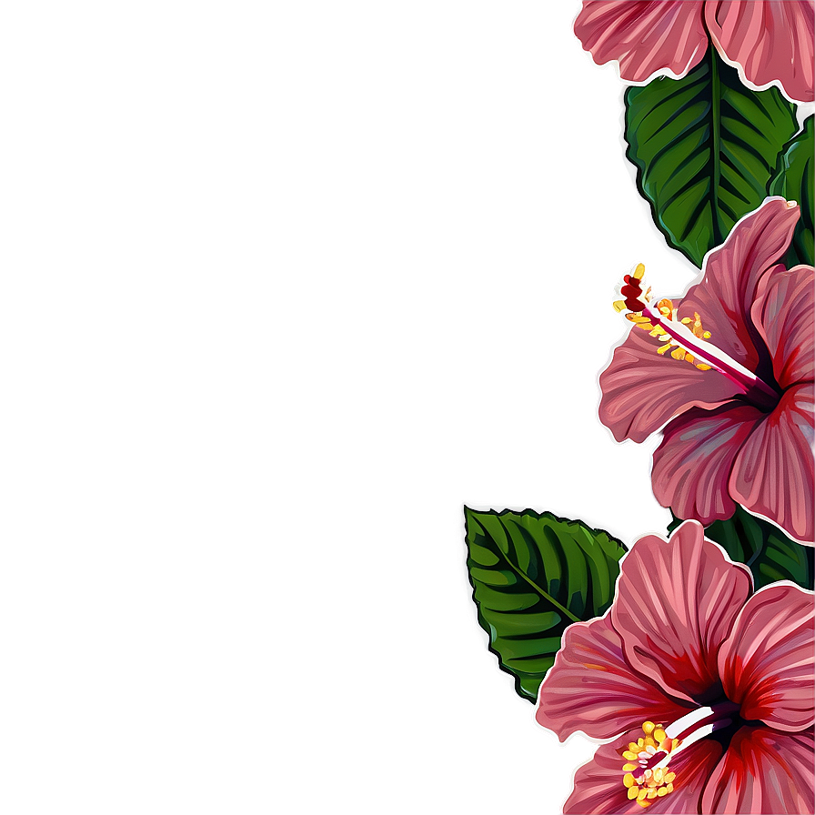 Hibiscus Sketch Png 8