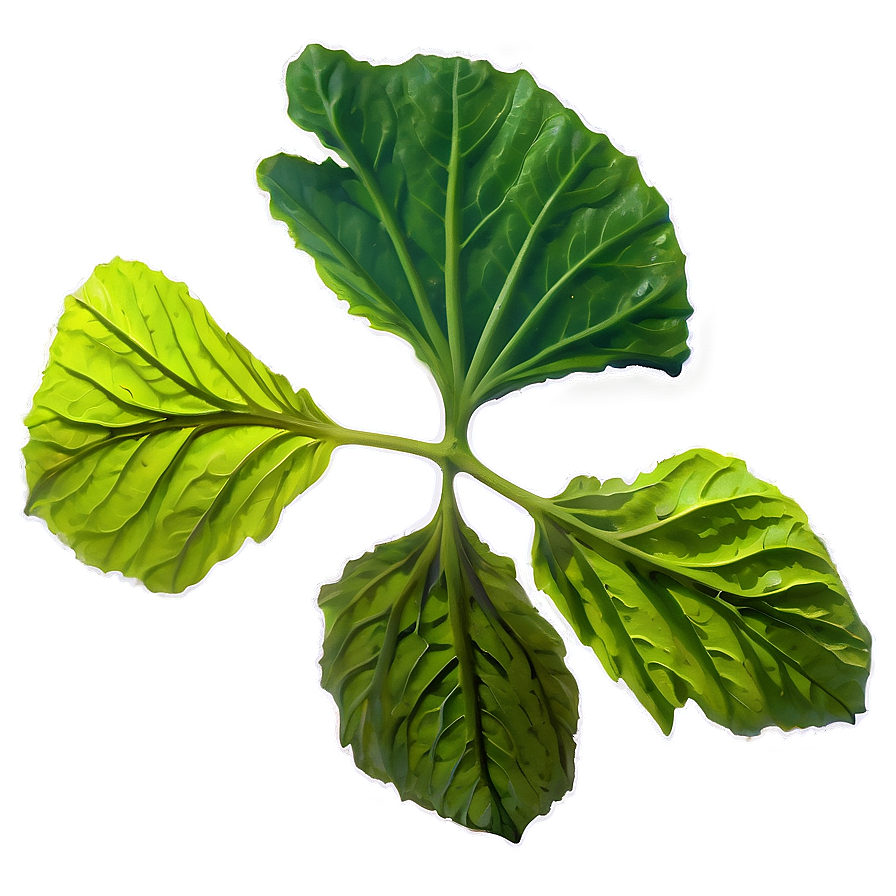 Hibiscus Tea Leaf Png Qwc40