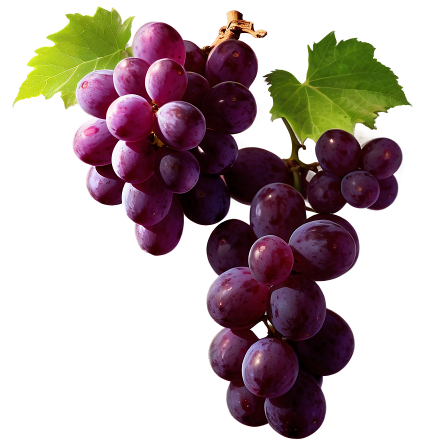 High Definition Grape Png 06292024