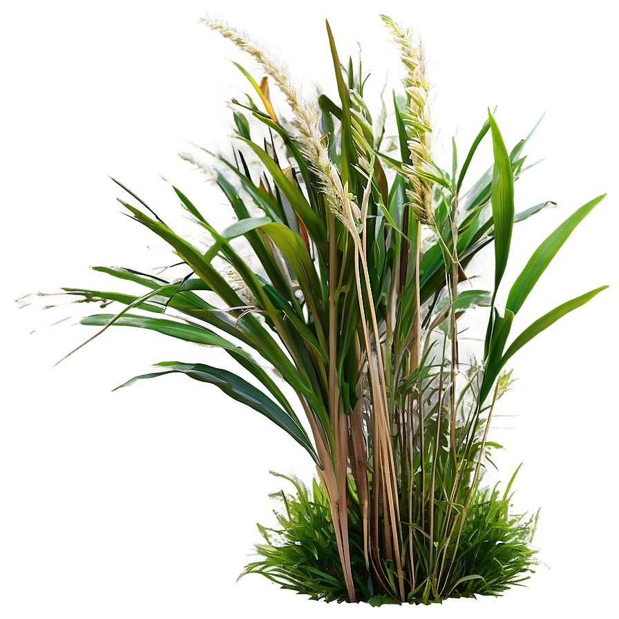 High Grass Field Png Ahi75