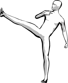 High Kick Silhouette