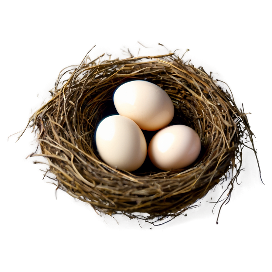 High-Quality Bird Nest PNG 49 PNG image with a transparent background, free high-resolution download
