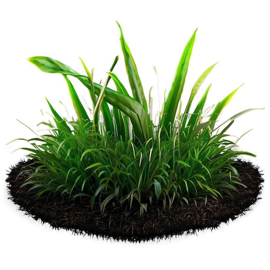 High-quality Grass Patch Png 06212024