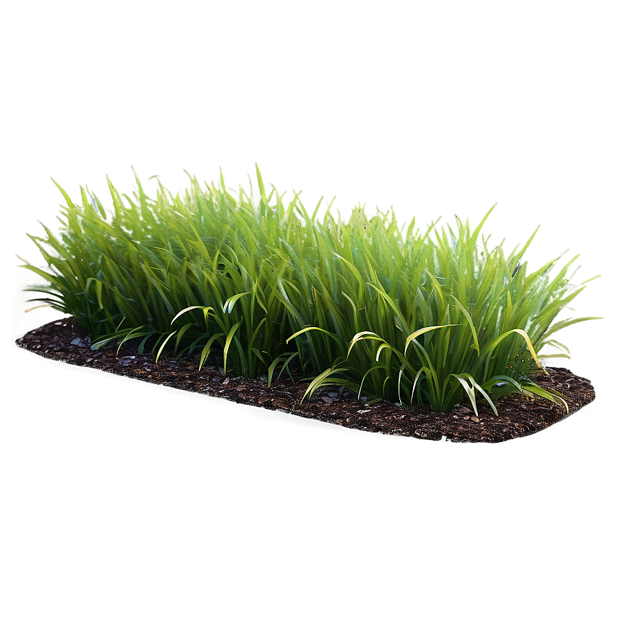 High-quality Grass Patch Png 75