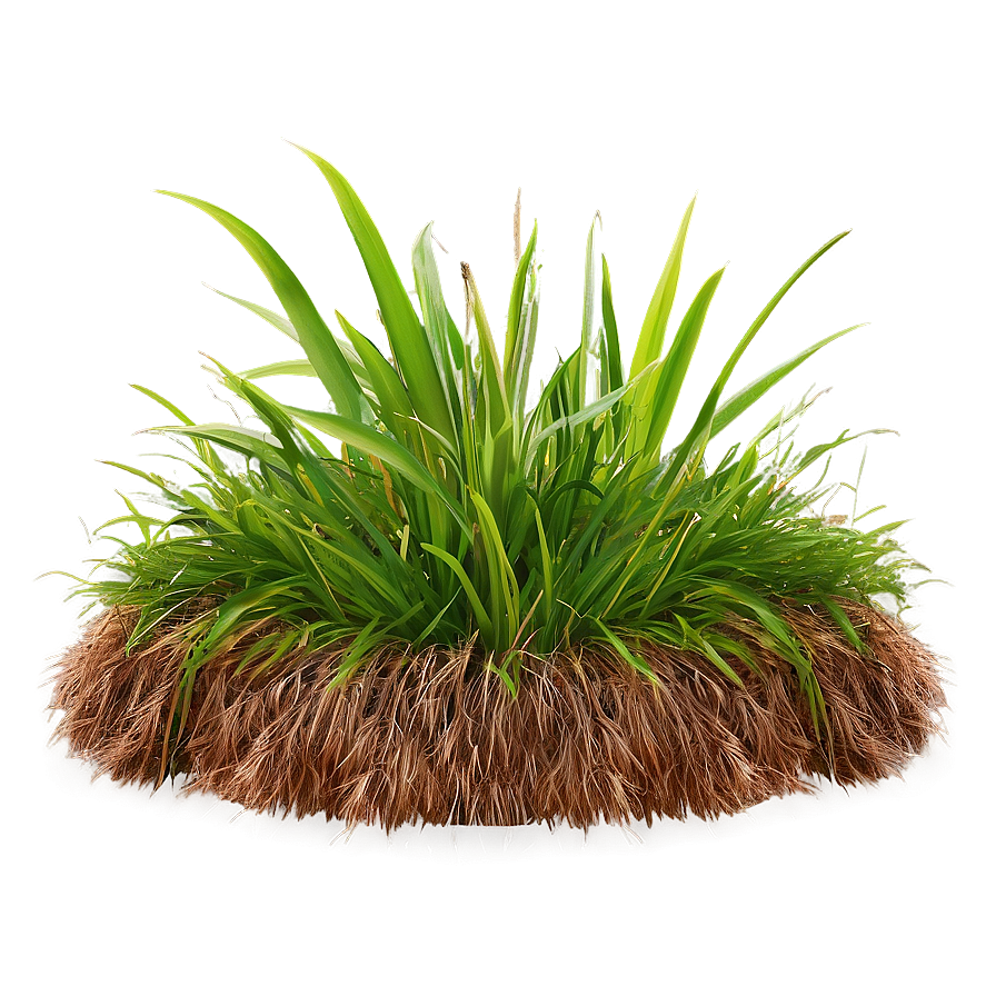 High-quality Green Grass Png 06262024