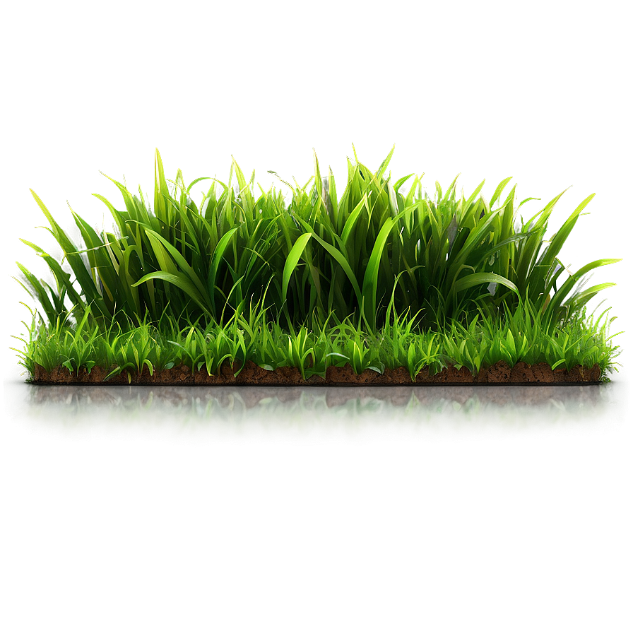 High-quality Green Grass Png Mex