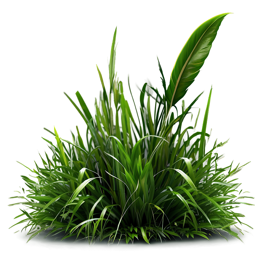 High-quality Green Grass Png Uye