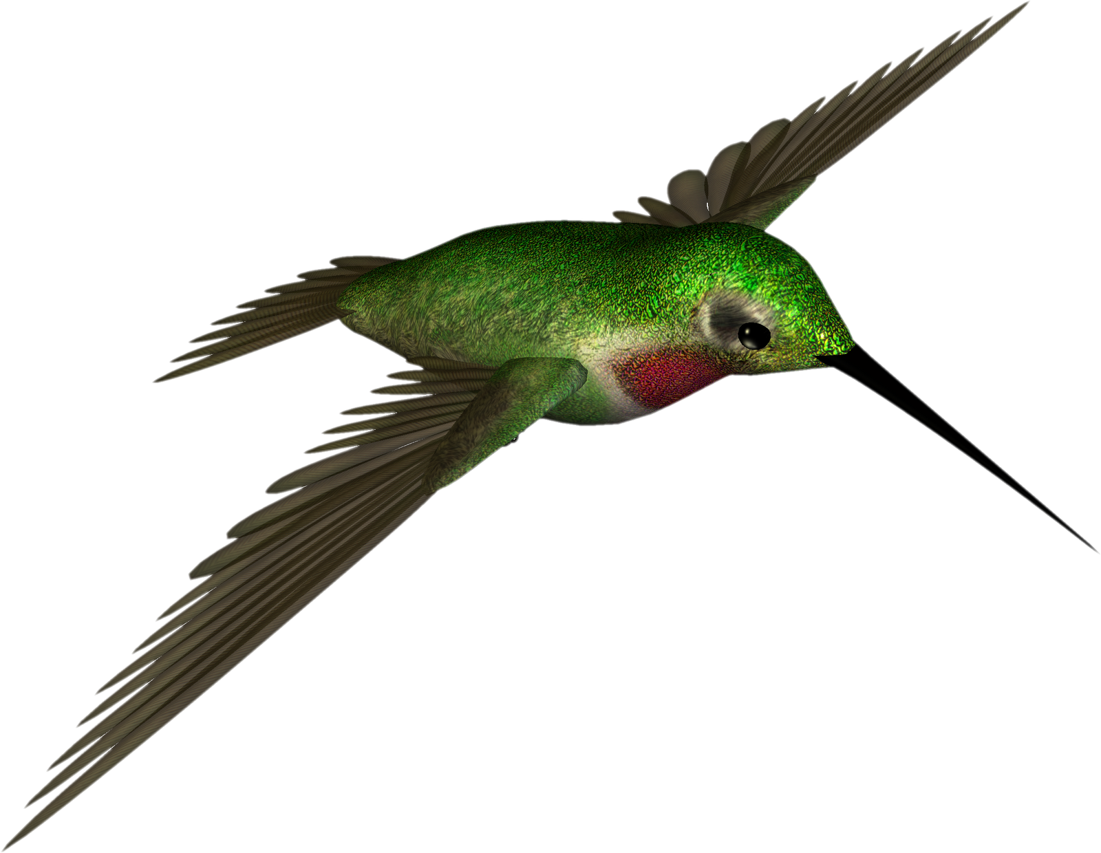 High Resolution Hummingbird Png, Transparent Png PNG with transparent background