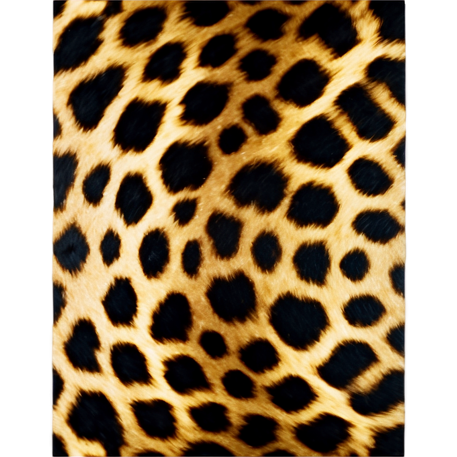 High-resolution Leopard Print Png Hys