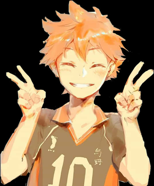 Hinata🧡 - Hinata Shouyou Transparent, HD Png Download PNG with transparent background