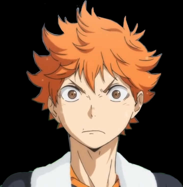 #hinata #shouyou #shoyo #hinatashouyou #shouyouhinata - Hinata Shouyou Transparent, HD Png Download PNG with transparent background
