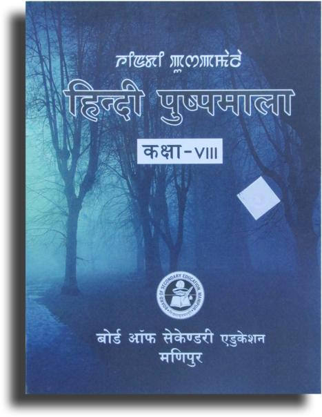 Hindi Textbook Cover Class8