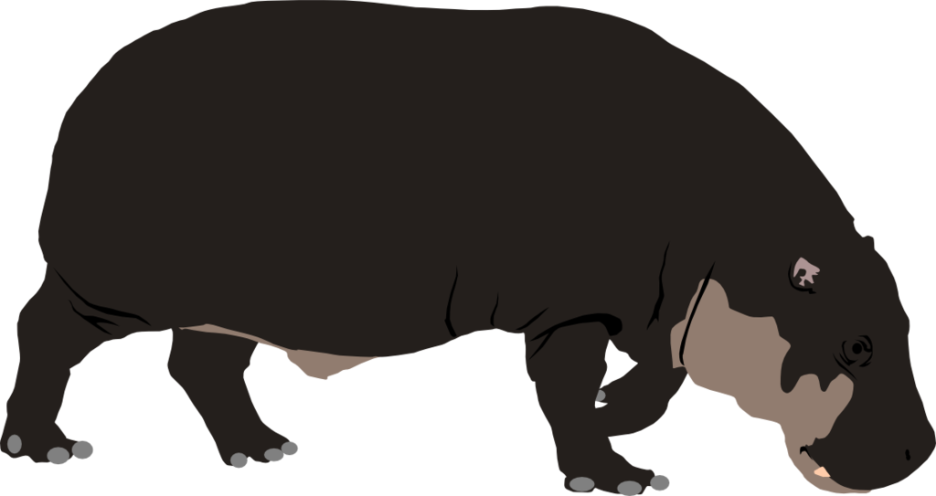 Hippopotamus Standing Profile