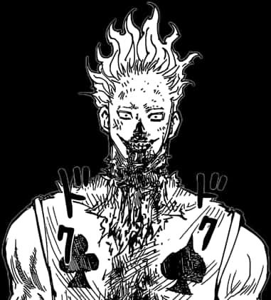 Hisoka Manga Portrait PNG with transparent background