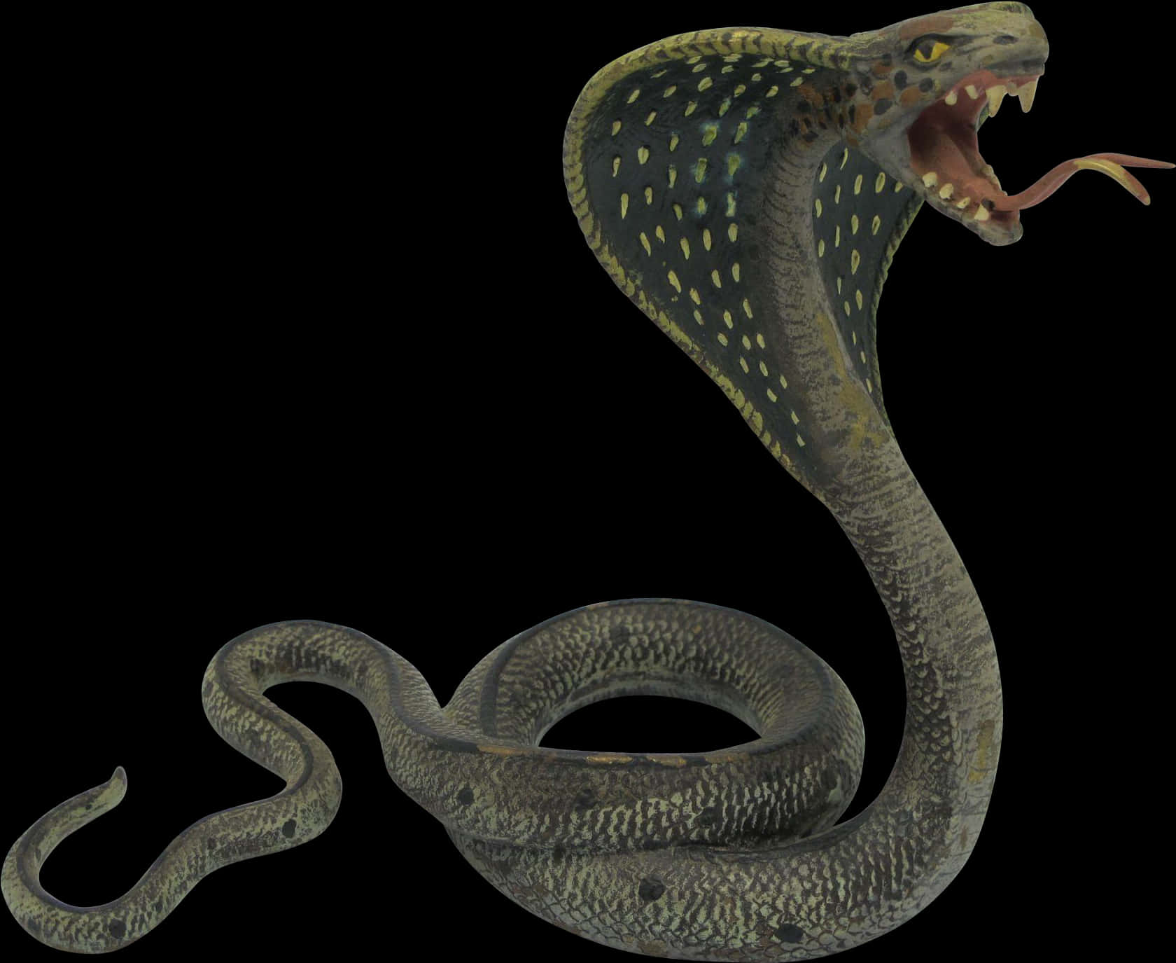 Hissing Snake Black Background PNG with transparent background