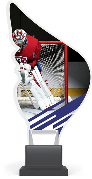 Hockey Goalie Trophy Design