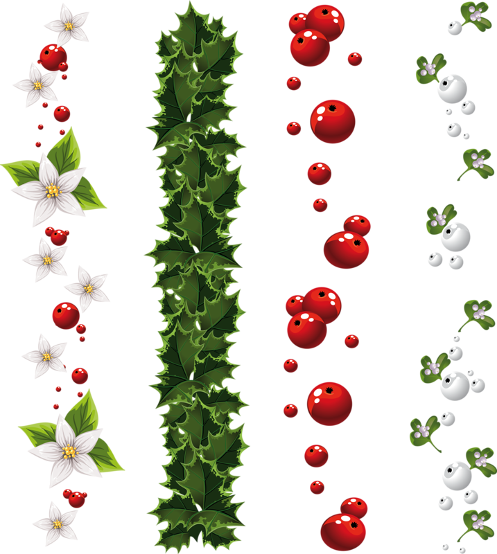 Holiday Hollyand Berries Pattern PNG with transparent background