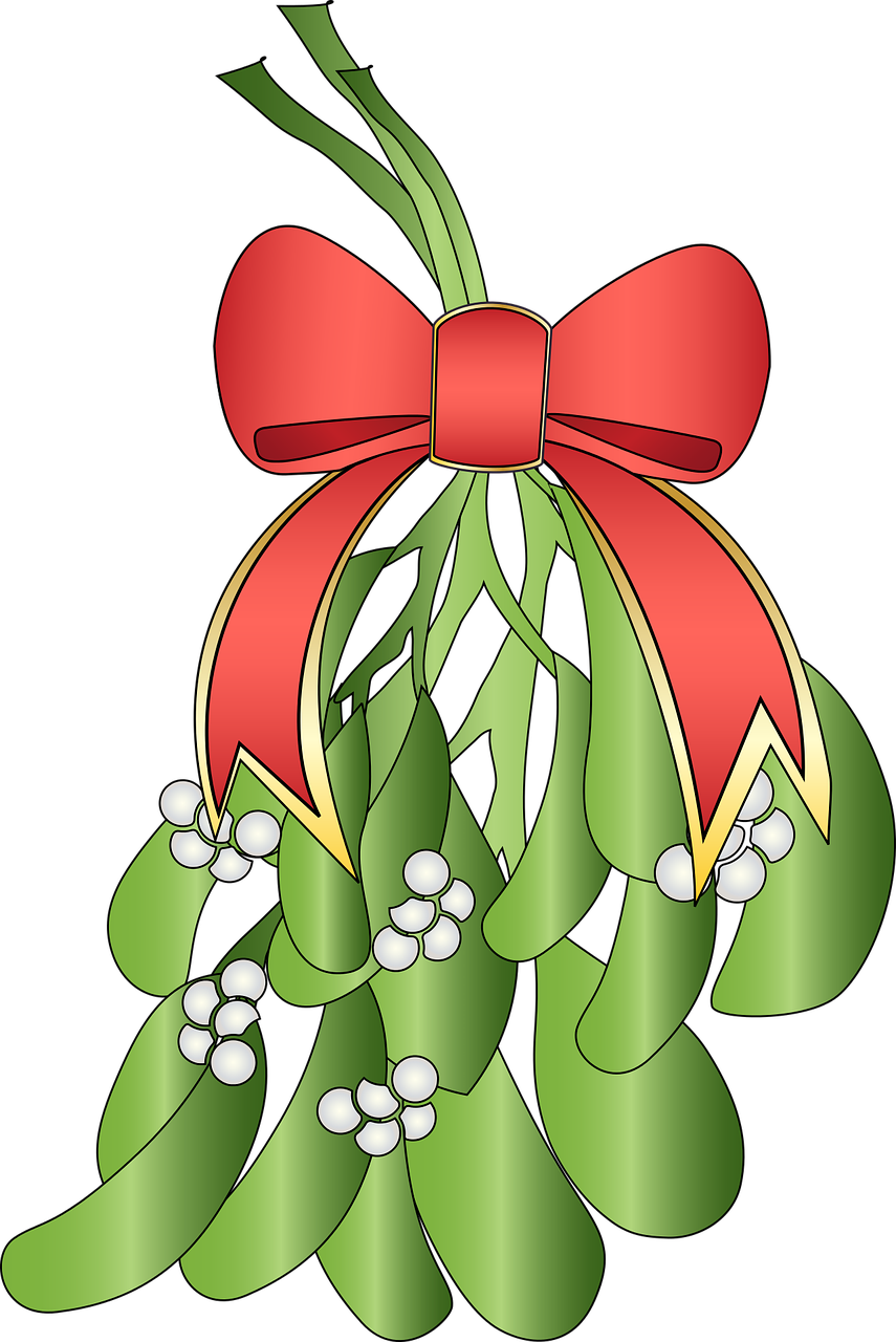 Holiday Mistletoe Illustration