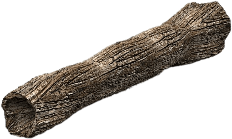 Dead Tree Trunk - Trunk 3d Model Free, HD Png Download PNG with transparent background
