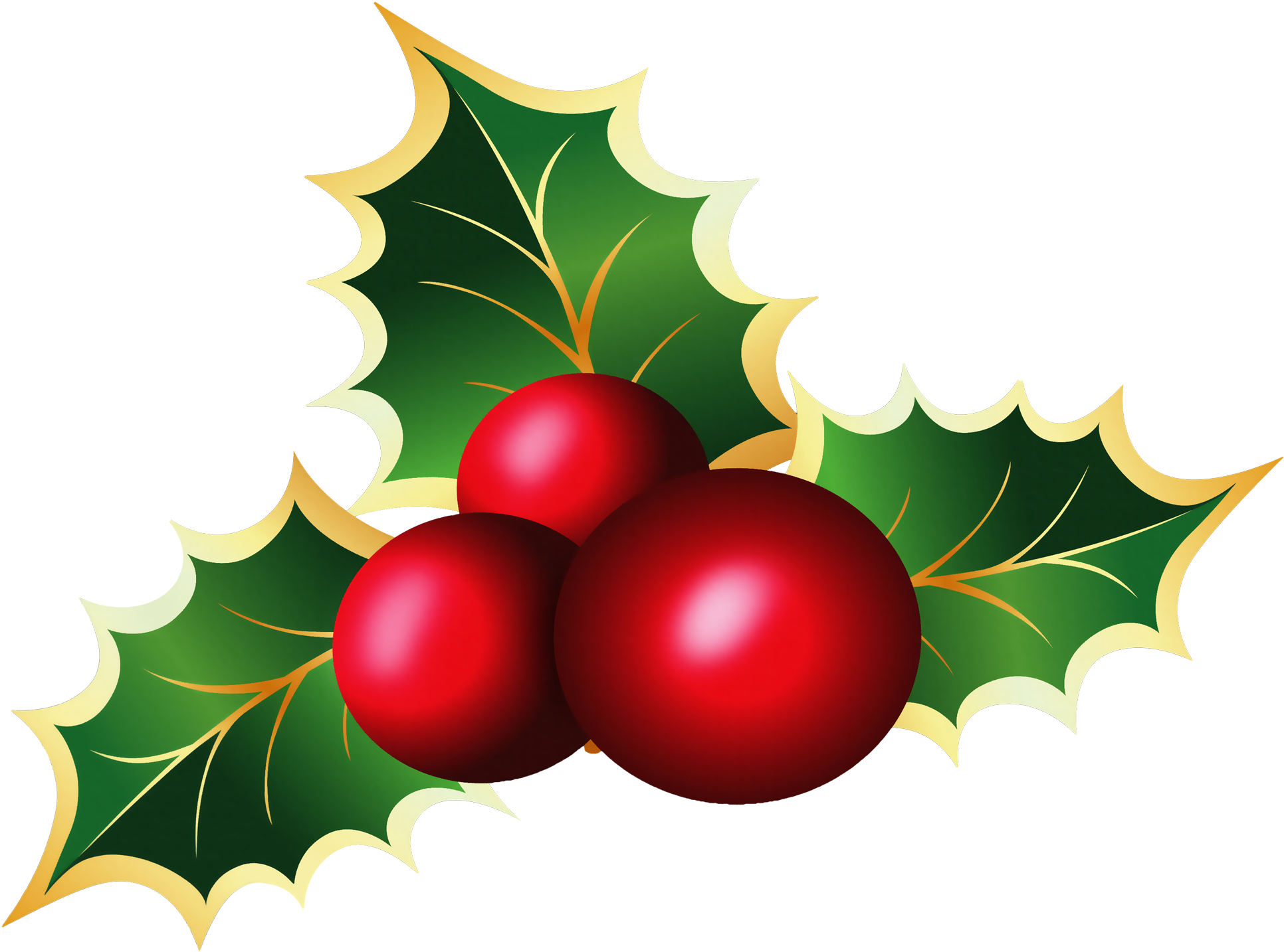 Mistletoe Clipart Transparent PNG with transparent background