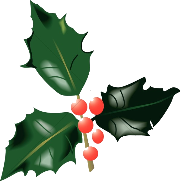 Holly Leaf Leaves And Berries Traditional Christmas - Holly Leaves And Berries, HD Png Download PNG with transparent background