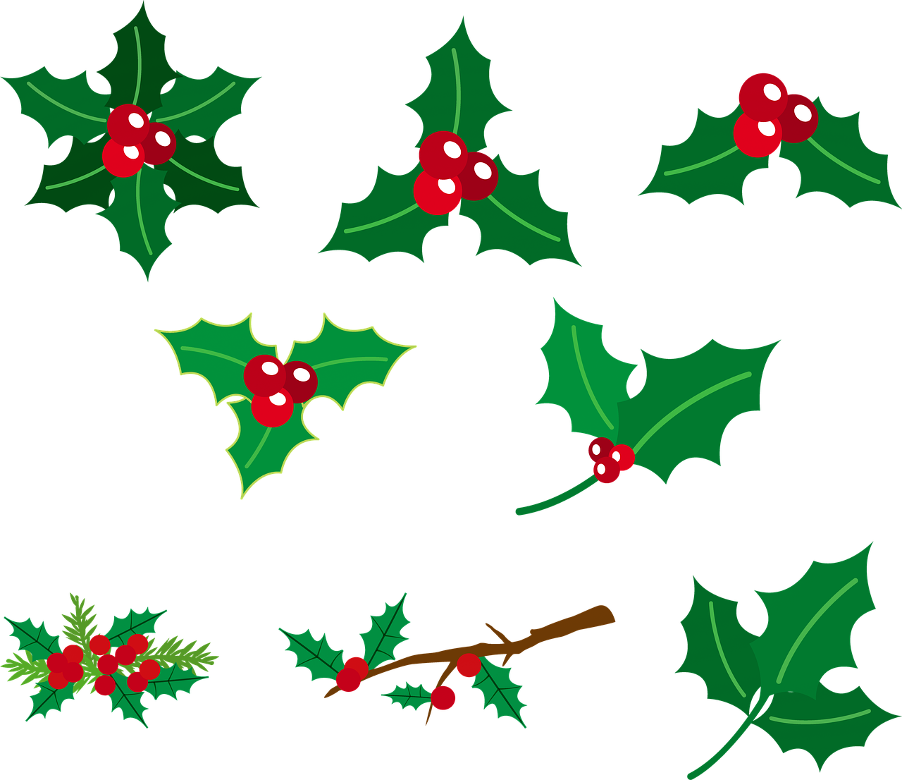 Holly Berries, Red And Green, Christmas, Green, Holly - Common Holly, HD Png Download PNG with transparent background