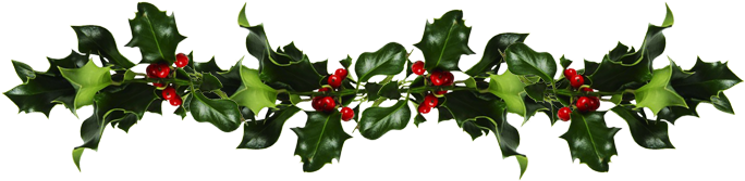 Holly And Mistletoe - Mistletoe And Holly Png PNG with transparent background