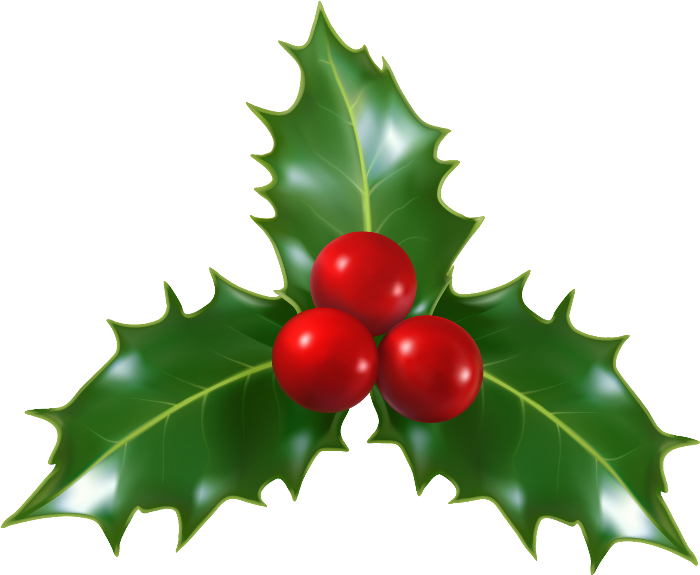 #holly #decoration #christmas #leaves #trio #berries - Transparent Background Holly Png, Png Download PNG with transparent background