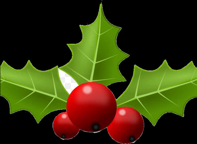 Holly Leaves Berries Clipart