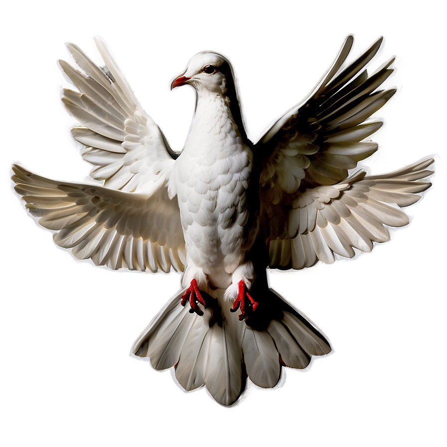 Holy Spirit Dove Png 94