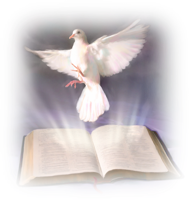 Holy Spirit Doveand Bible