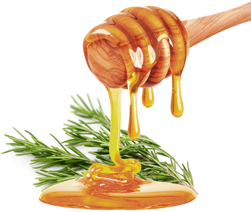 Apples And Honey Free, HD Png Download PNG with transparent background